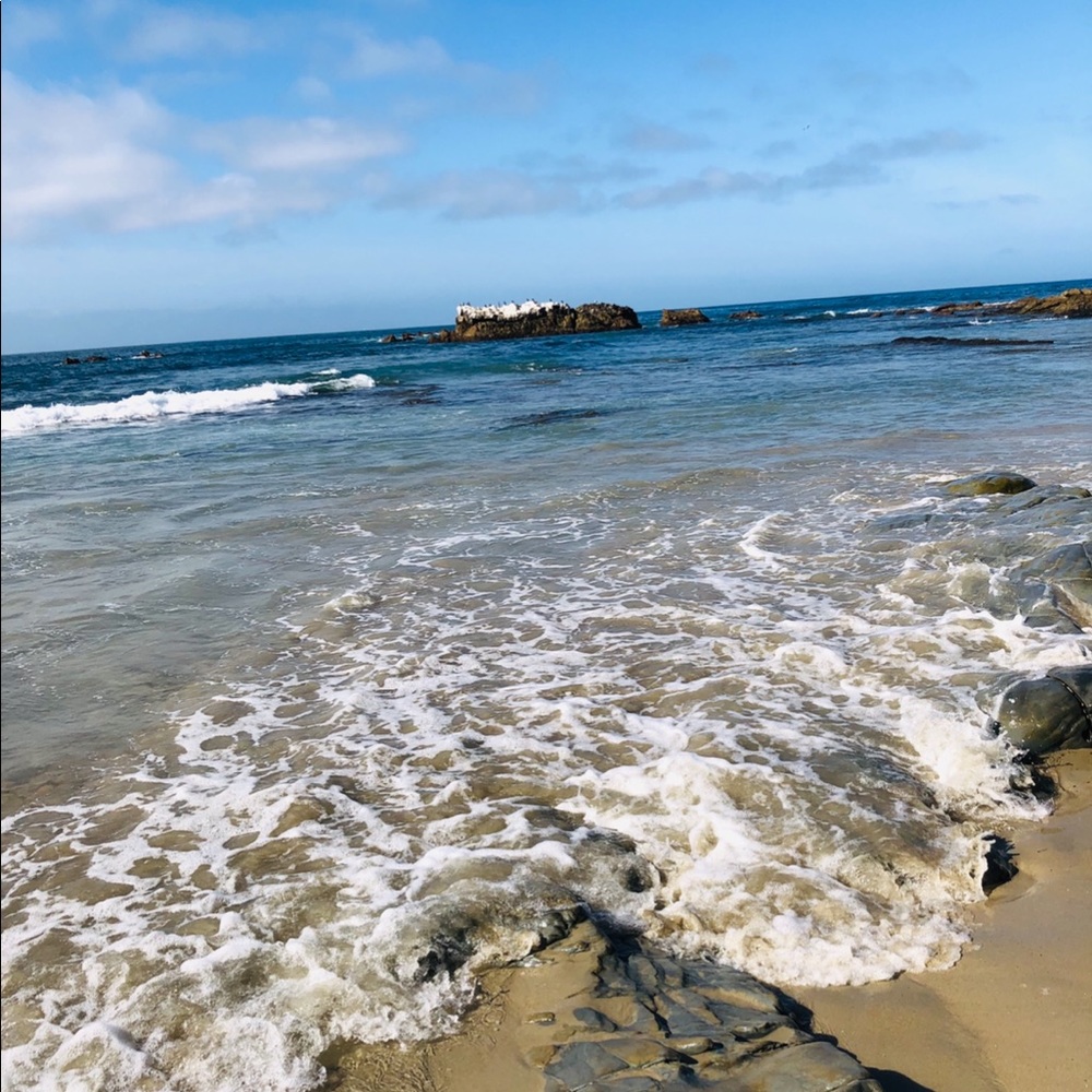 Meet your Posher, Lauryn